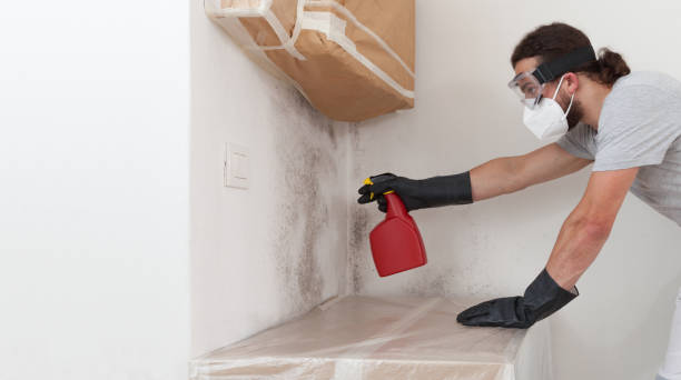 Professional Mold Inspection And Testing technician working in Harrington Park, NJ