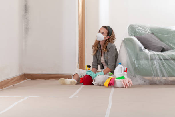 Reliable Mold Inspection And Testing contractor in Harrington Park, NJ by 24 Hour Mold Removal